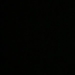 Meet your Posher, Sydnie